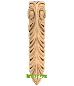 Изящный акант