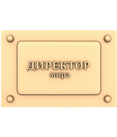 Табличка Директор мира