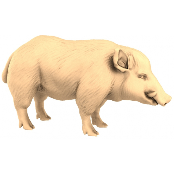 Дикий Кабан - 3D модель для ЧПУ