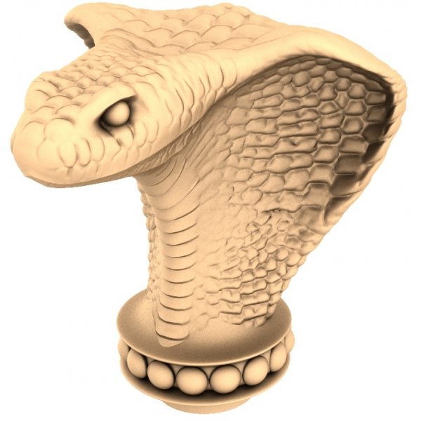 3D модель Королевская Кобра